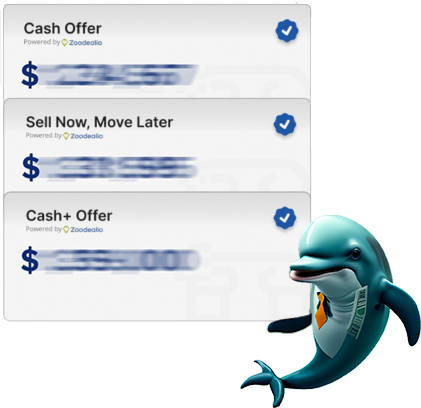 Cash offer examples