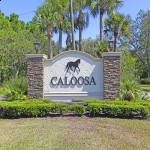 Caloosa | An Equestrian’s Dream | Jeff Lichtenstein