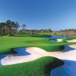 Ibis homes for sale | Ibis Golf & Country Club homes for sale