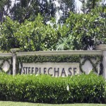 Steeplechase | Premiere Estate Home Community | Discover Spacious Living