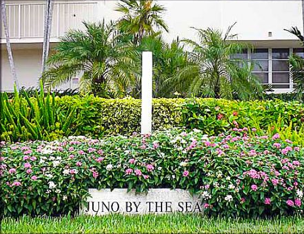 Juno by the sea real estate condos