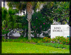 Juno Shores Resort Real Estate & Homes for Sale Juno Beach FL real estate