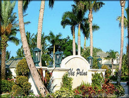 The Palms homes for sale.png