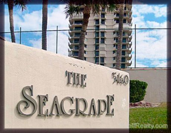 The Seagrape Real Estate & Homes for Sale