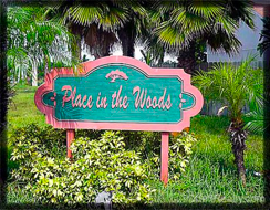 Place in the woods Palm Beach Gardens