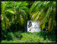 tequesta pines