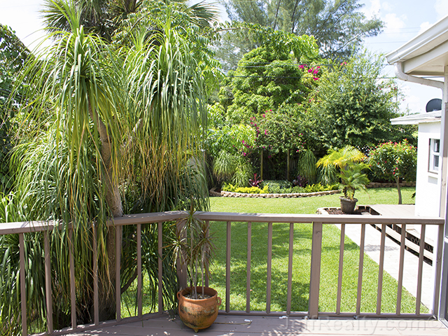 834 Dobbins Street - Backyard