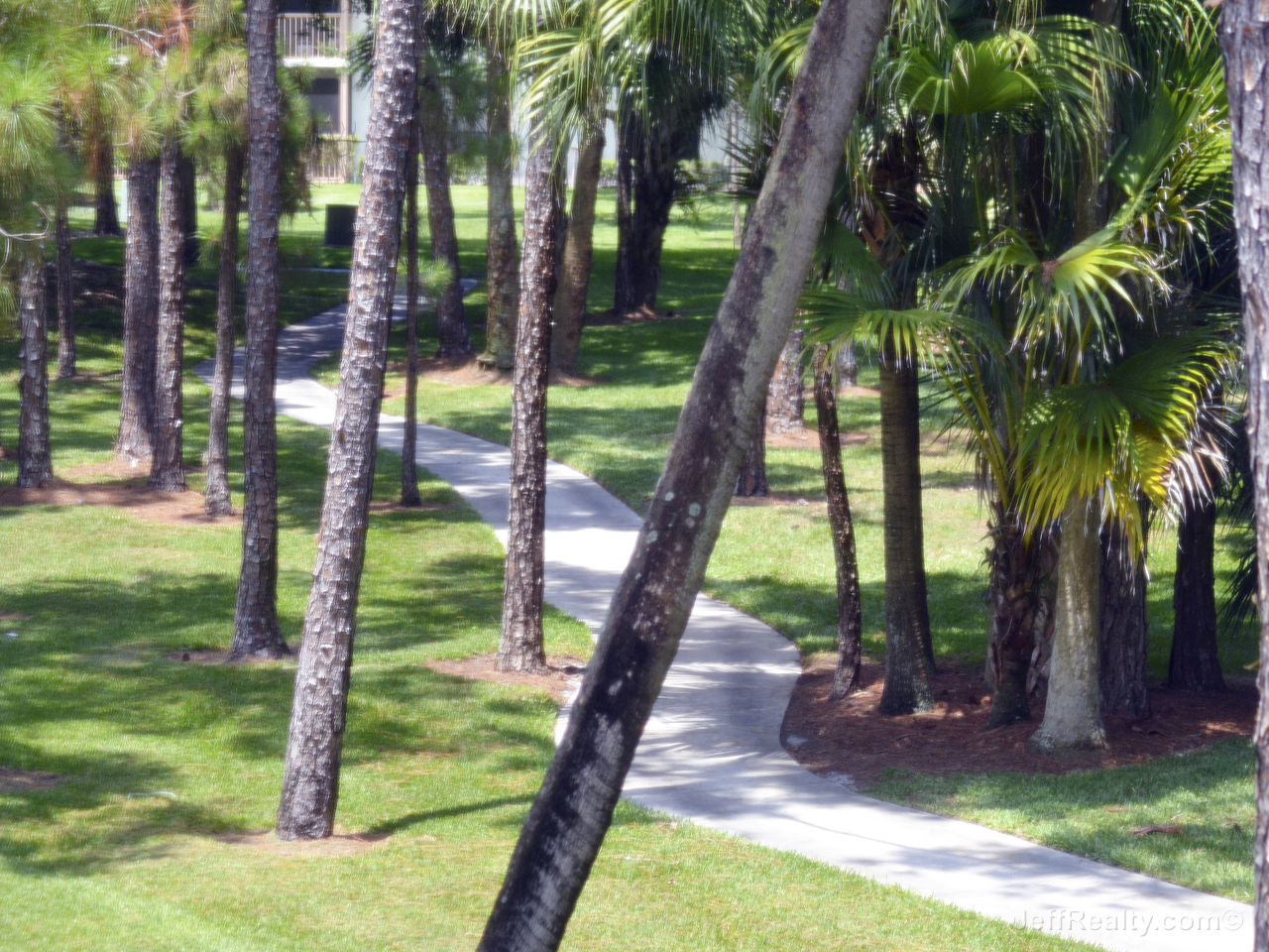 133 Brackenwood Road - View