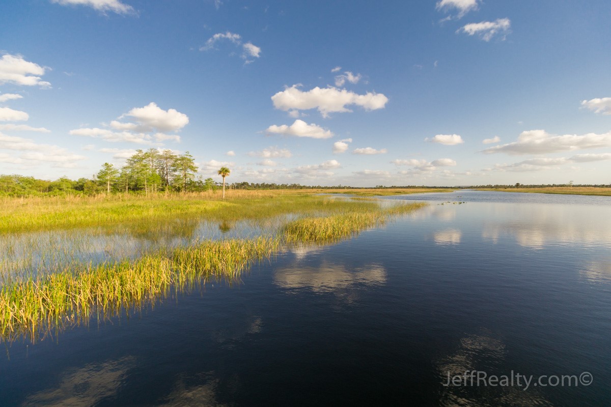 Pne Glades_01