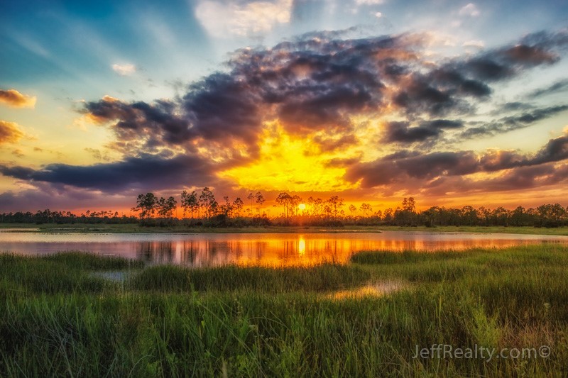 Pne Glades_09