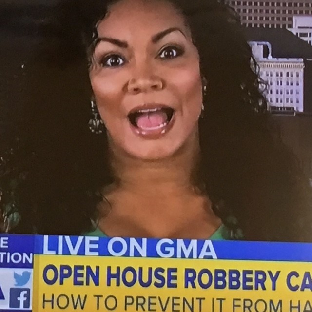 Open House Thief_01