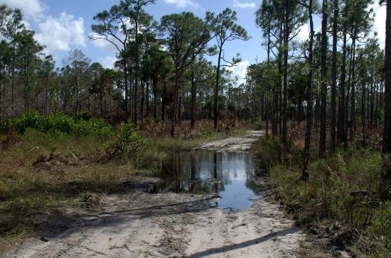 Limestone Creek National Area